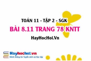 Bài 8.11 trang 78 Toán 11 tập 2 Kết nối tri thức
